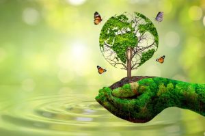 Licenciamento Ambiental Paraná Entenda o Processo e Como Solicitar